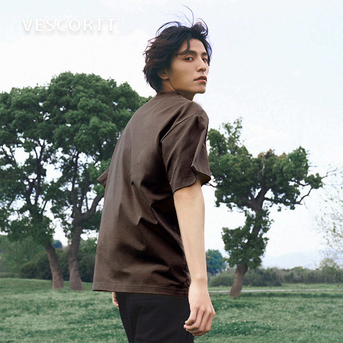 VESCORTT液氨桑蚕丝天丝混纺 进口索罗娜抗皱凉感夏季男士短袖T恤