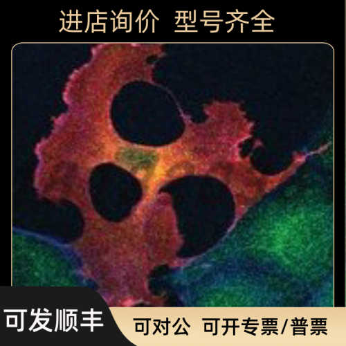 F1804 Sigma-Aldrich FLAG M2单抗 小鼠源F1804 蛋白抽提纯化