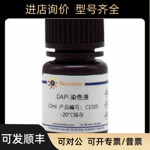 DAPI染色液 C1005-10ml   C1006-50ml 碧云天