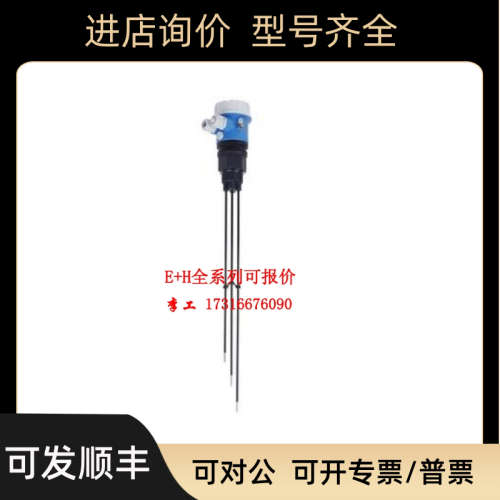 E+H电导式限位开关FTW31-A1A5CA0Y杆式探头