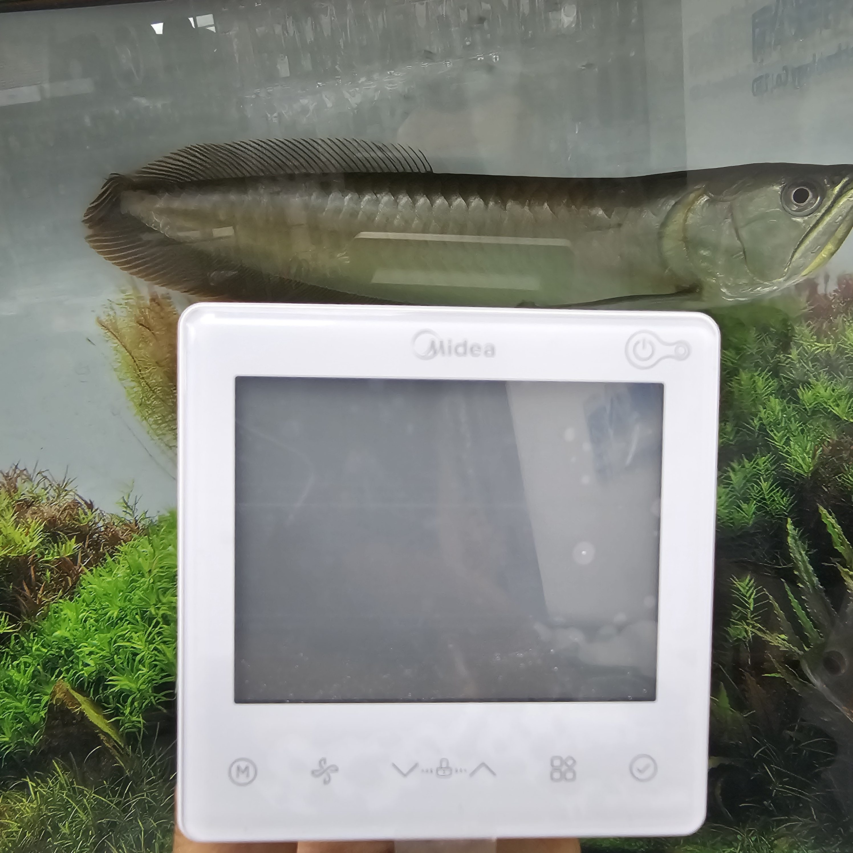 适用于美的全热交换新风线控器KJRF-90F4(wifi)/BF-z 智能线控器