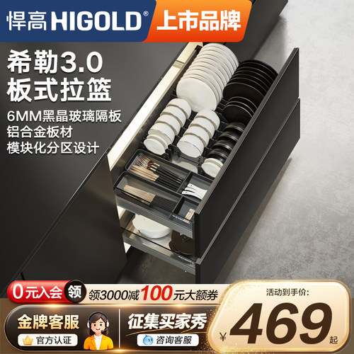 厨房橱柜双层碗碟拉篮悍高