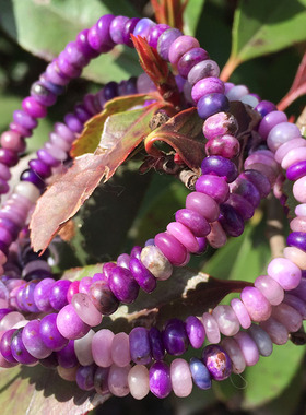 苏纪石桃红樱花粉冰透年前价手链