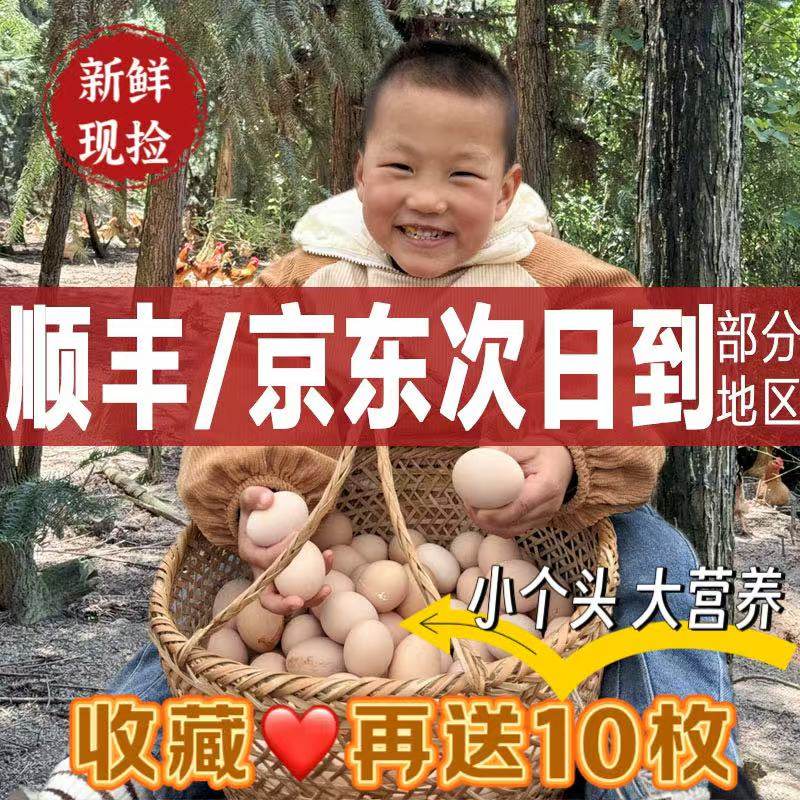 九云仙竹林新鲜开窝蛋初生蛋宝宝鸡蛋农家散养土鸡蛋草笨鸡蛋好吃,水产肉类/新鲜蔬果/熟食,鸡蛋,淘宝优惠券,粉丝福利购,淘宝优惠卷