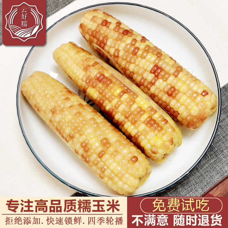 云好糯专注高品质香糯小玉米粗粮