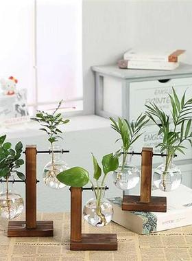 Terrium Hydroponic Plant Vases Vintage Flower Pot Transp