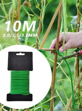 10M Gardening Cable Ties Reusable Oblate Iron Wire Twist Tie