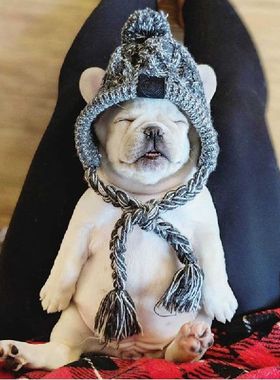 Windproof Hat Dog Kids Hats Winter Warm Knitted Pet Dogs