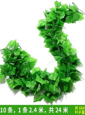 Simulation grape leaves the leaves of these trees are green