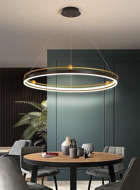 modern led chandelier circle lights for Interior design engi