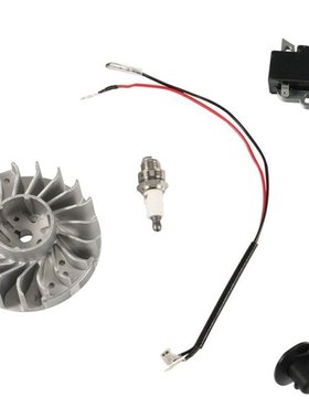 Ignition Coil Wires Flywheel Fly Wheel Keyway For Stihl Chai