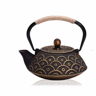 NEW 7 CHIOCES CAST IRON TEAPOT SET JAPANESE TEA POT TETSUBIN
