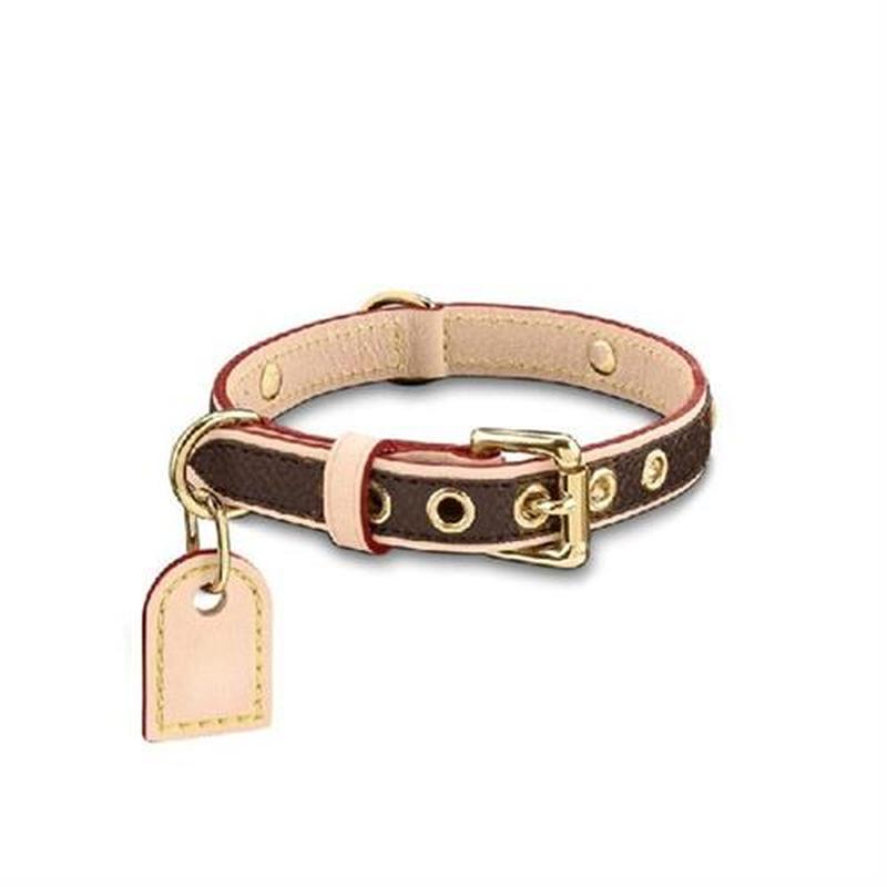 Luxury Designer Pet Dog Collar Cat Collar Leash Set,golden