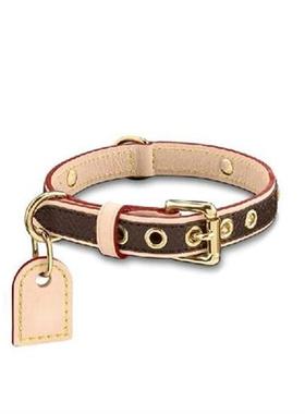 Luxury Designer Pet Dog Collar Cat Collar Leash Set,golden