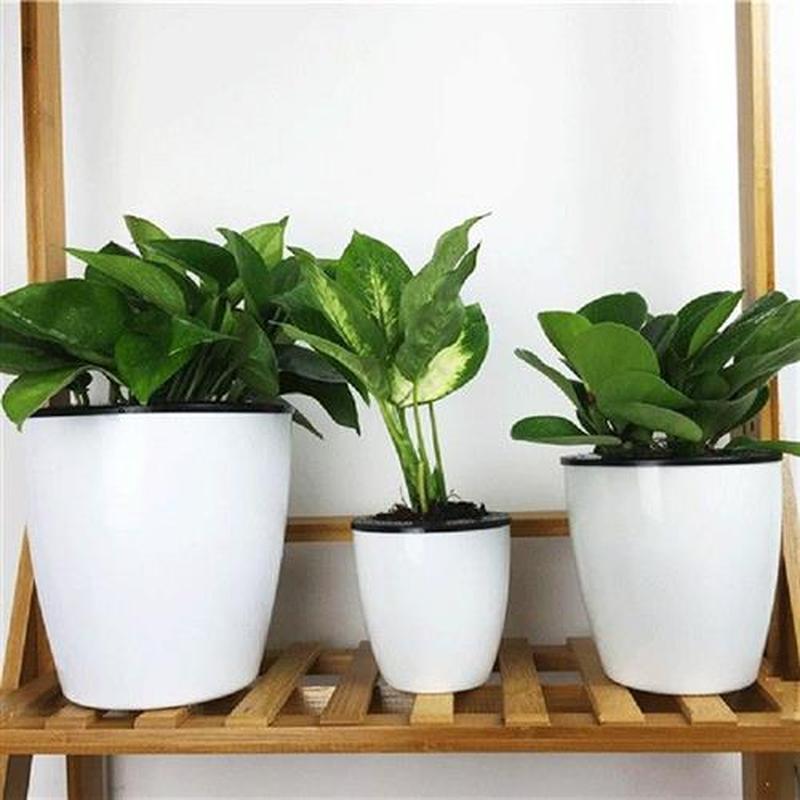 Mini Plastic Flower Pot Succulent Plant Flowerpot Home