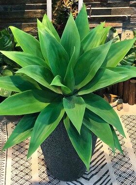 55cm Artificial Rare Agave Plants Indoor Plastic Branch Trop