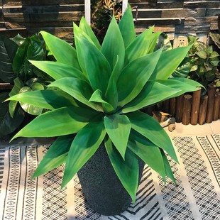 55cm Artificial Rare Agave Plants Indoor Plastic Branch Trop