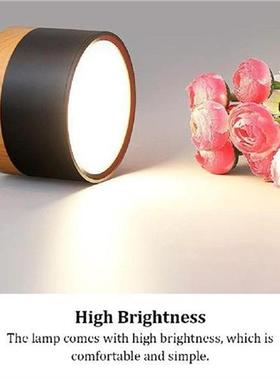 LED Ceiling Light Household Lamp Indoor Using Rounded Scene