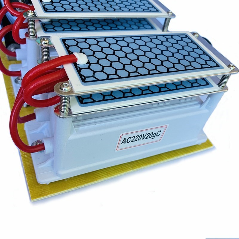 220V/110V 20g Ceramic Ozone Generator Ozone Double Integrate