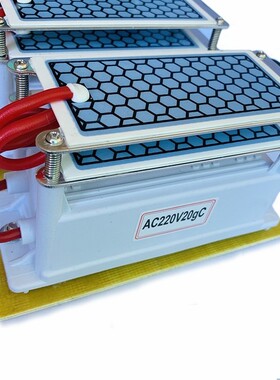 220V/110V 20g Ceramic Ozone Generator Ozone Double Integrate