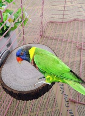 Funny Pet Bird Parrot Hamster Wooden Cage Perches Stand