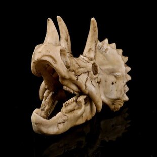 Triceratops Dinosaur Skull Resin Crafts Fossil Skeleton Teac