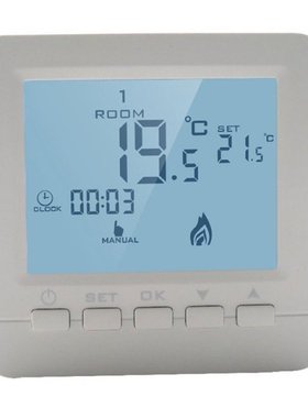 HY02B05-2BW Instrument and Meter Programmable Wall-Hung Boil