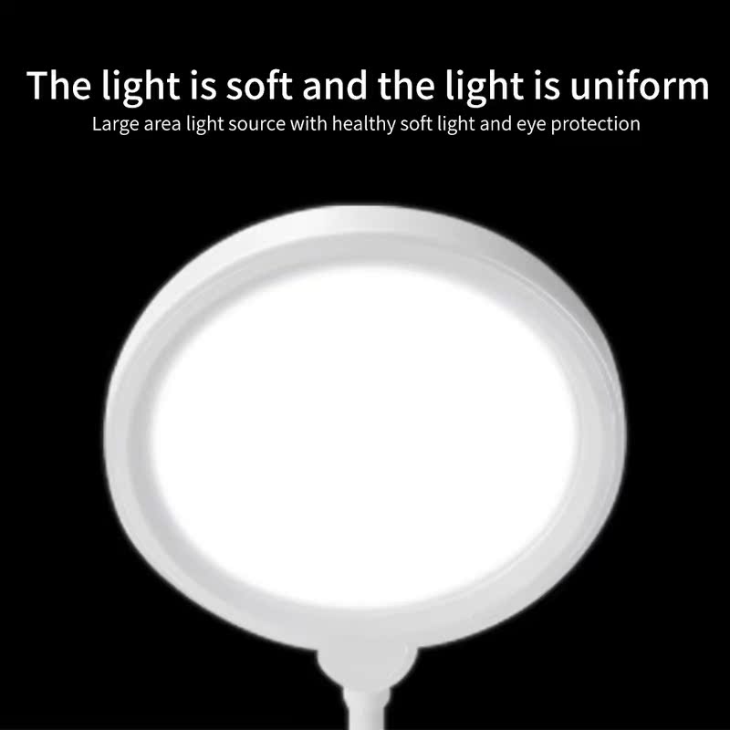 LED Desk Lamp Adjudtable Gooseneck Multifunctional Simple Ey