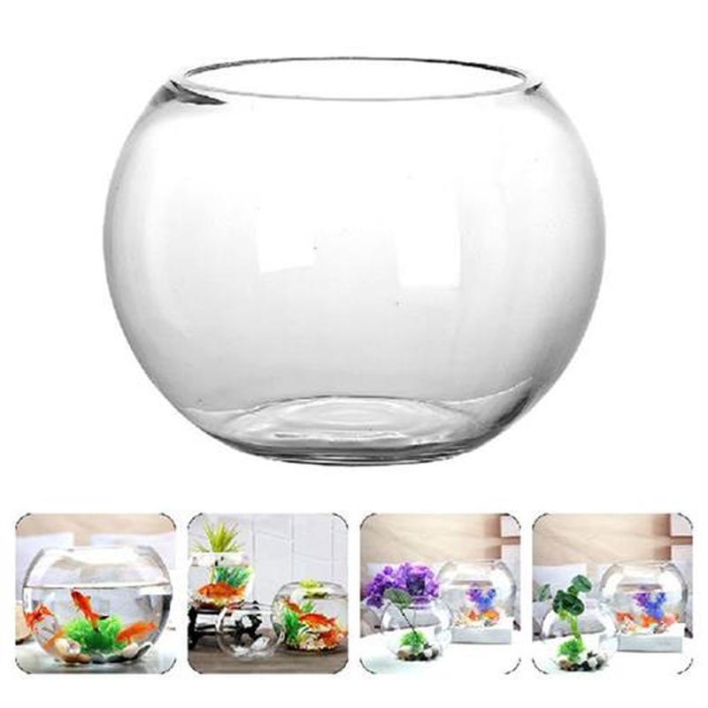 Goldfish Bowl Drum Glass Terrarium Small Glass Round Vase