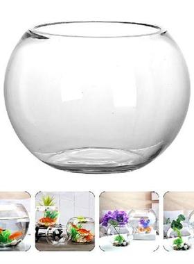 Goldfish Bowl Drum Glass Terrarium Small Glass Round Vase