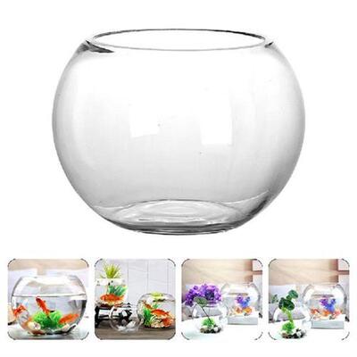 Goldfish Bowl Drum Glass Terrarium Small Glass Round Vase