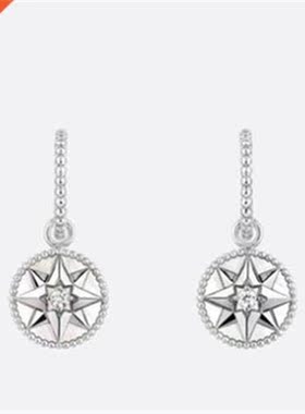 2022 nds Feminine Earrings Fashion Luxury Brand Style Classi