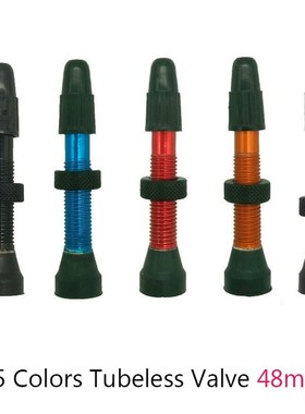 1 PCS 48mm Bicycle Tubeless Presta Valve for Road Bike MTB T
