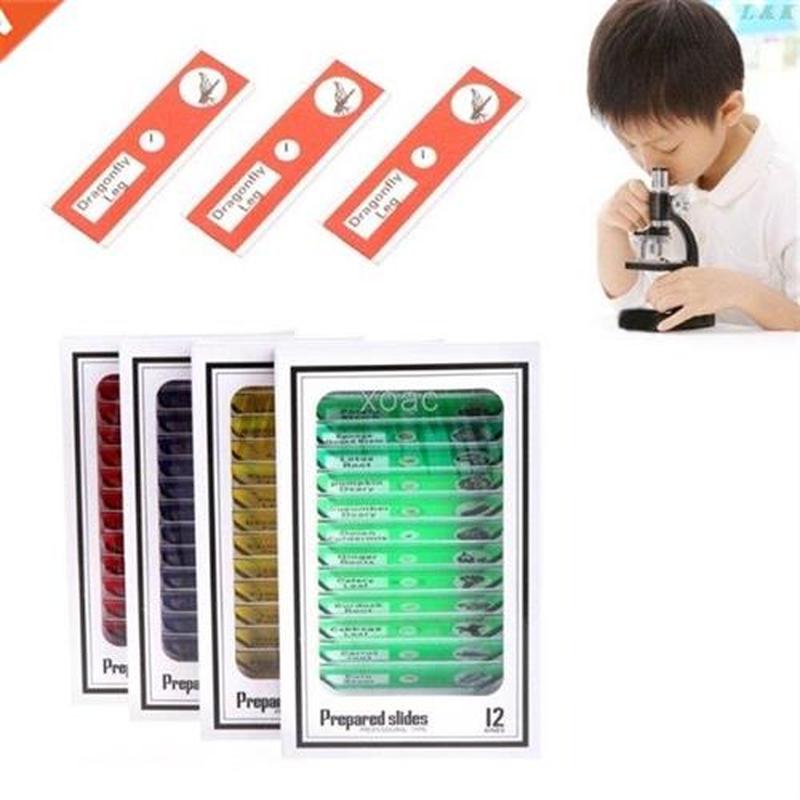 48 Pcs Prepared Microscope Slides Specimen Animals Insects P