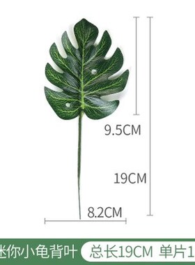 Simulation leaves leaf kwai boreal Europe style of curvature