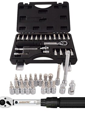 21 In 1 Torque Wrench Bits Set Bicycle Motorcycle Detection