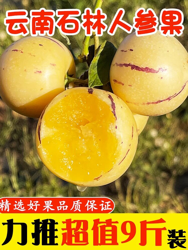 云南石林人参果10大果当季新鲜长寿孕妇七彩人叁果黄肉圆果包邮5属于什么档次？