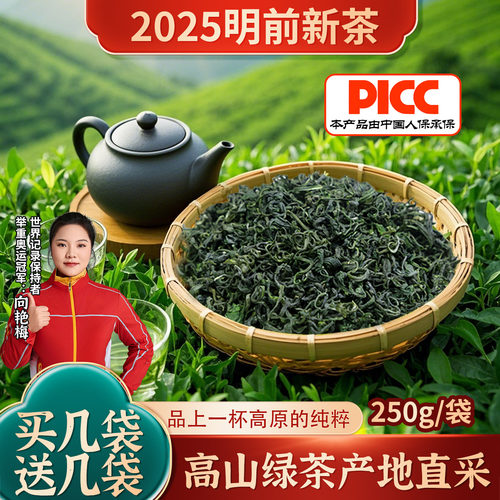 新茶绿茶半斤高山云雾茶叶