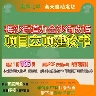 梅沙街道办金沙街改造项目立项建议书105页 项目改造建议书资料