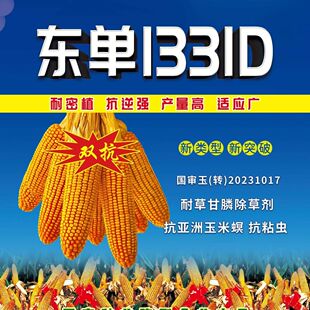 抗草甘膦 东单1331D 玉米螟虫 抗粘虫 转基因玉米种子