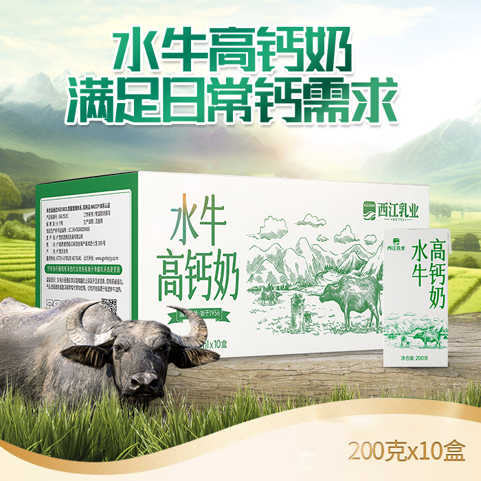 水牛奶西江高钙奶国营牧场