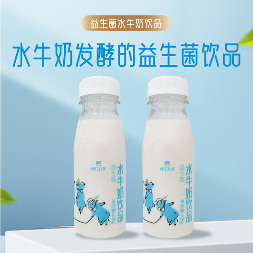 西江益生菌水牛奶饮品
