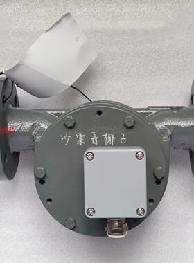 VAF J5025PT ALFA-0010 流量计