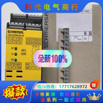 AES 2285-24VDC 原装SCHMERSRL施迈赛安议价