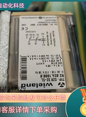 现货时间继电器DZR-52-SL