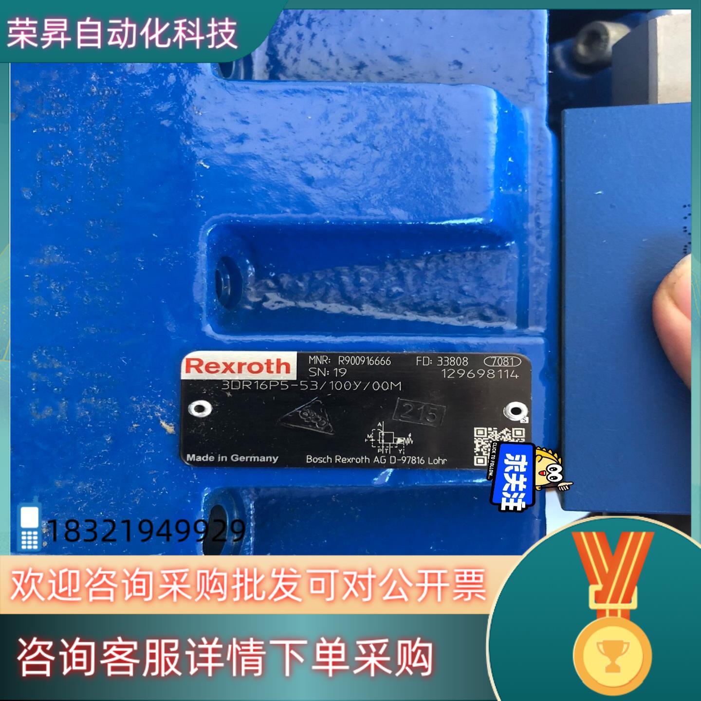 现货R900916666 3DR16P5-53/100Y/00M