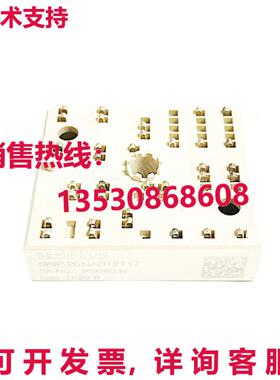 原装供应New In Box SEMIKRON SKIIP20NAB12T17 Power Supply Mod