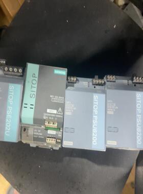 【工控自动化】电源模块P1961-3BA21DC24V40A议价