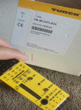 图尔克 继电器FM-IM-2UPLi63X 752510