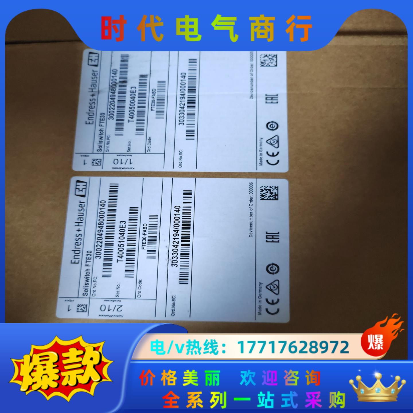 E+H FTE30-AABA阻旋料位开关，全新原装封议价